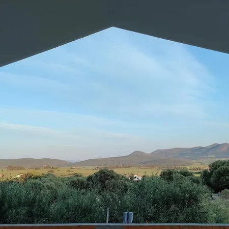 La_casa_di_ Willy Canai